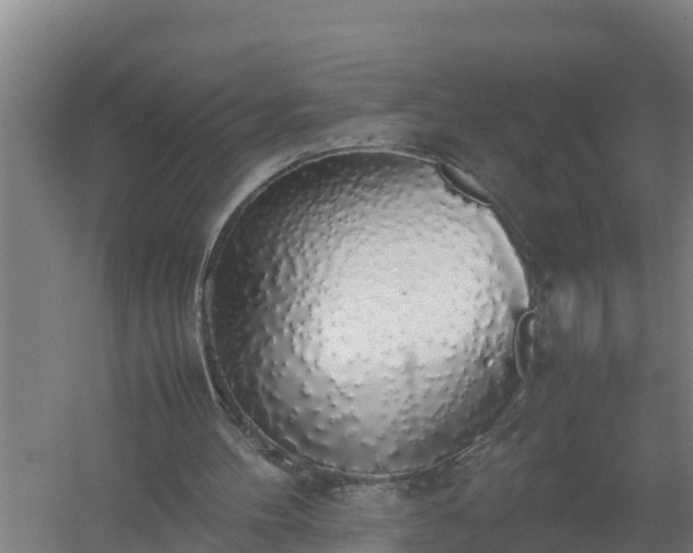 X0000058130100200509302003