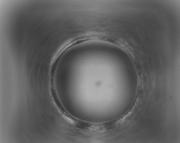 X0000058130101200509302003