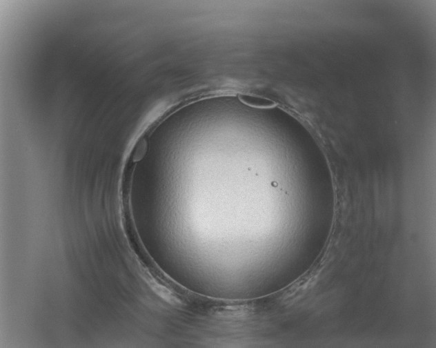 X0000058130102200509302003