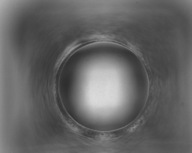 X0000058130103200509302003