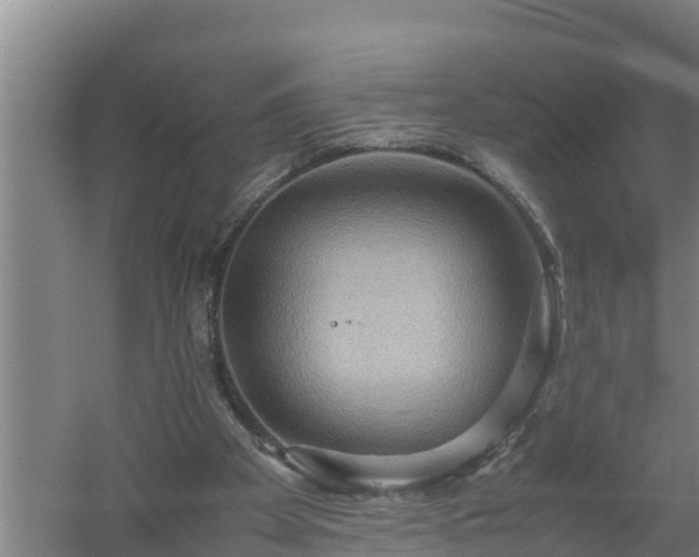 X0000058130105200509302003