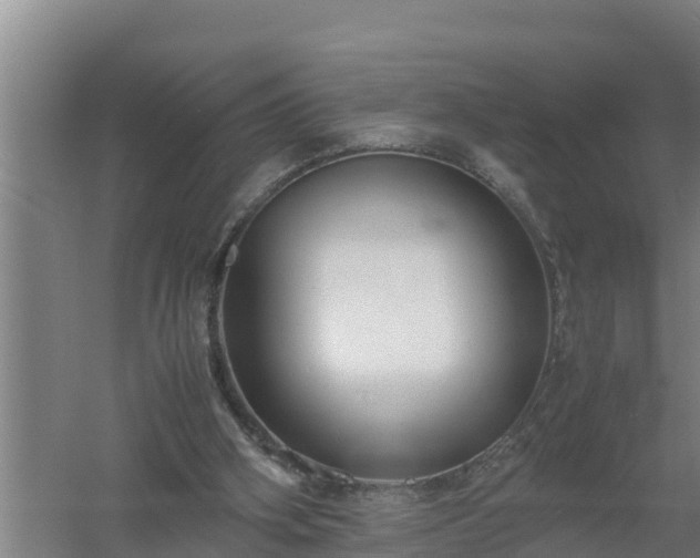 X0000058130106200509302003