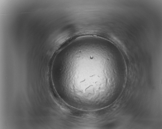 X0000058130107200509302003