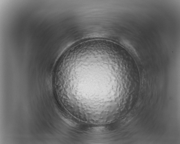 X0000058130108200509302003