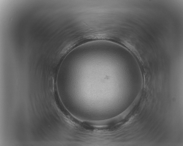 X0000058130109200509302003