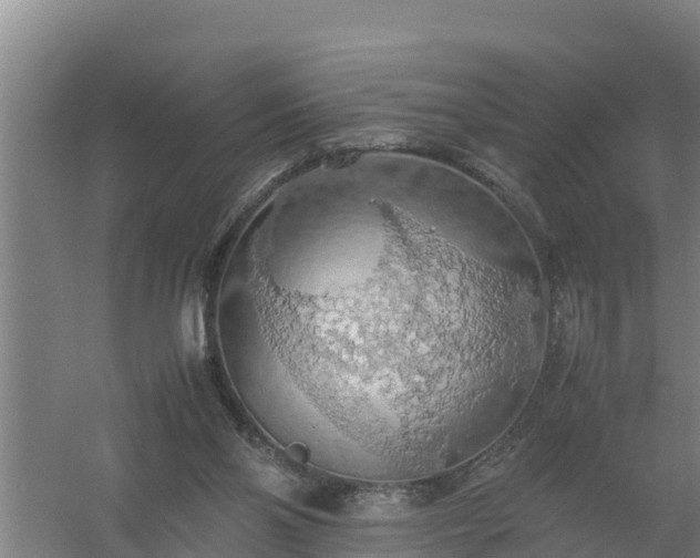 X0000058130110200509302003