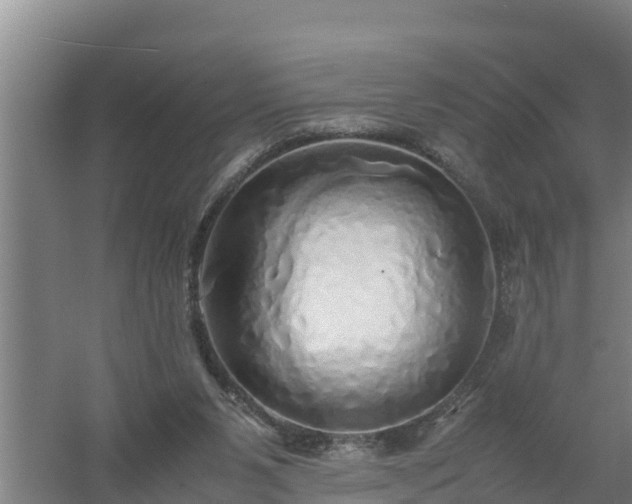 X0000058130111200509302003