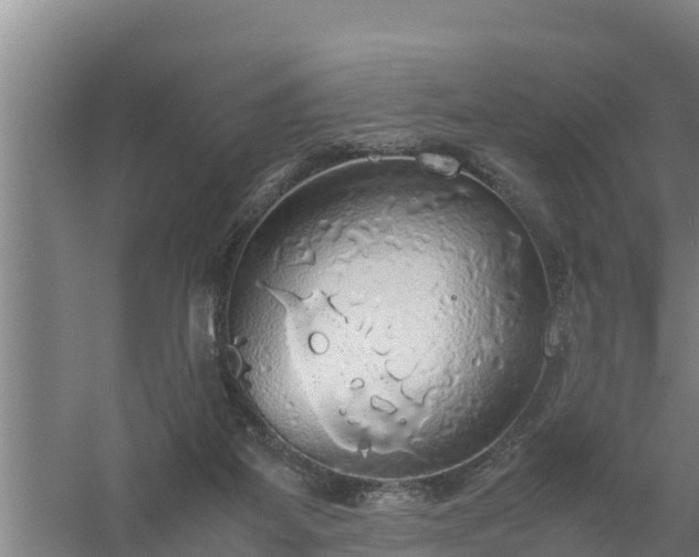 X0000058130115200509302003