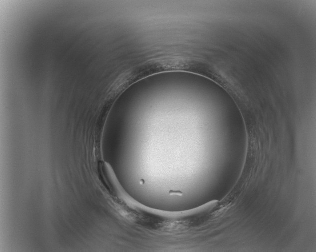 X0000058130117200509302003