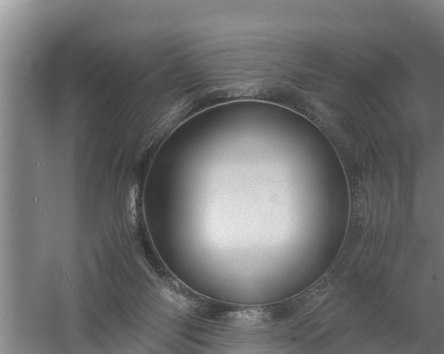 X0000058130118200509302003