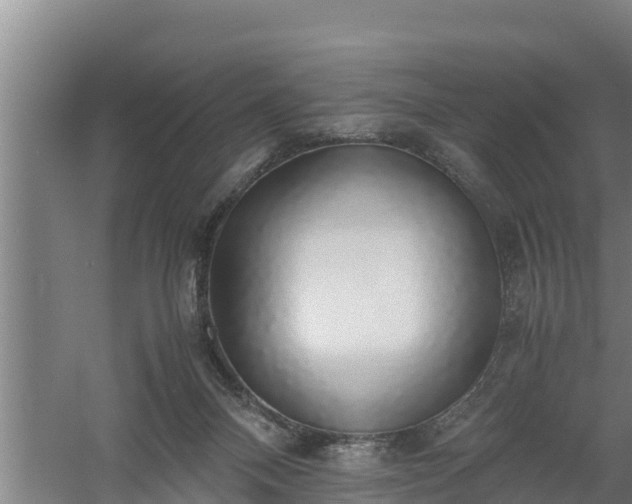 X0000058130120200509302003