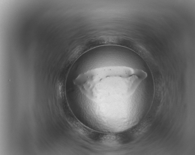 X0000058130123200509302003