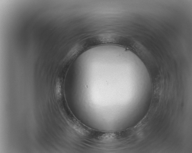 X0000058130124200509302003