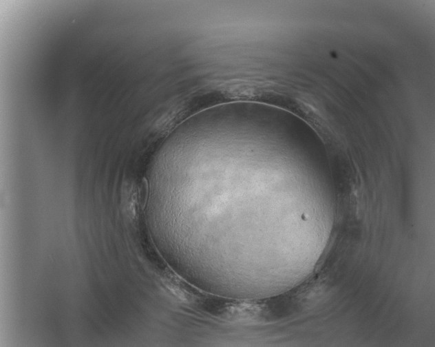 X0000058130125200509302003