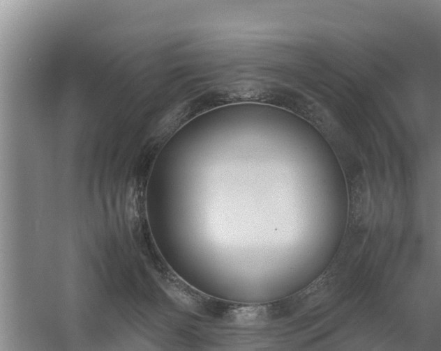 X0000058130126200509302003