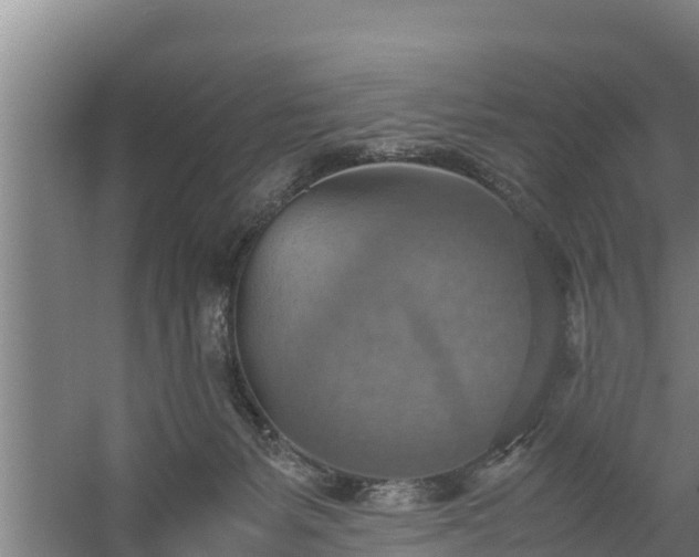 X0000058130127200509302003