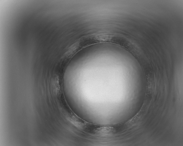 X0000058130128200509302003