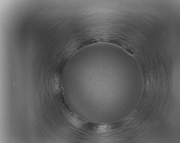 X0000058130130200509302003