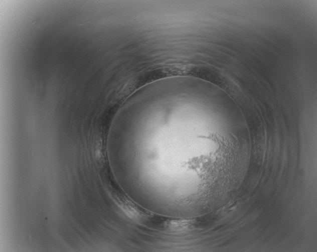 X0000058130134200509302002