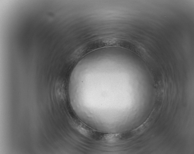 X0000058130136200509302002