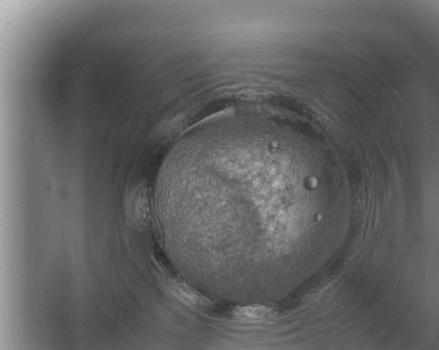 X0000058130137200509302002