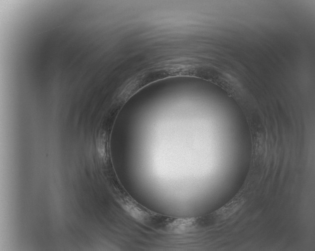 X0000058130138200509302002