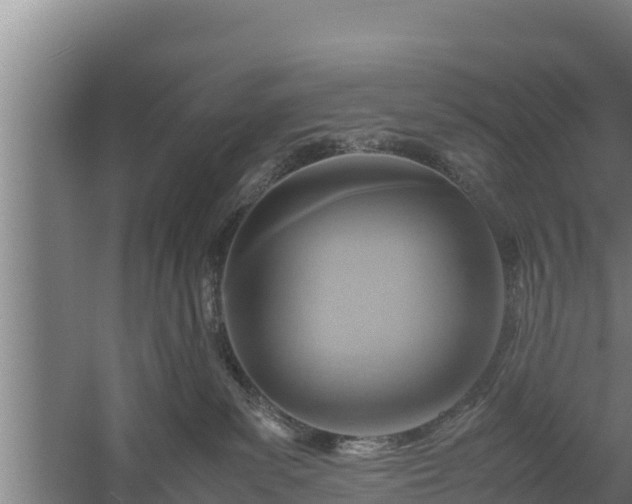 X0000058130139200509302002