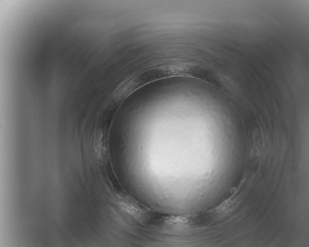 X0000058130140200509302002