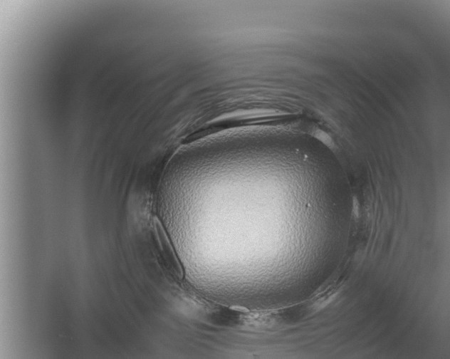 X0000058130141200509302002