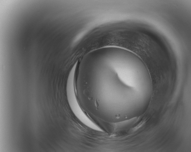 X0000058130143200509302002