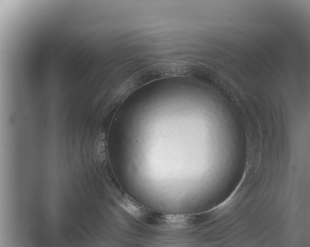 X0000058130144200509302002