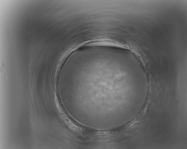 X0000058130145200509302001