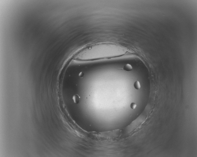 X0000058130146200509302001