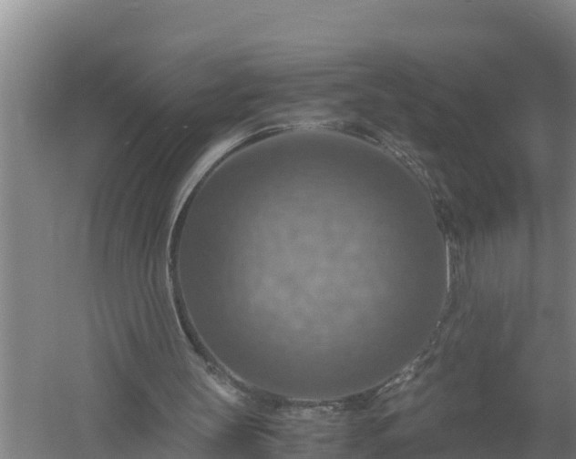 X0000058130147200509302002