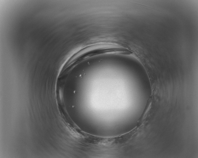 X0000058130148200509302002