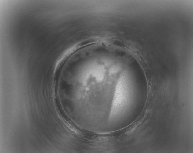 X0000058130149200509302002