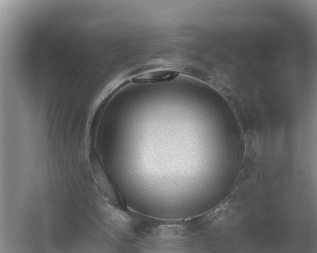 X0000058130150200509302002