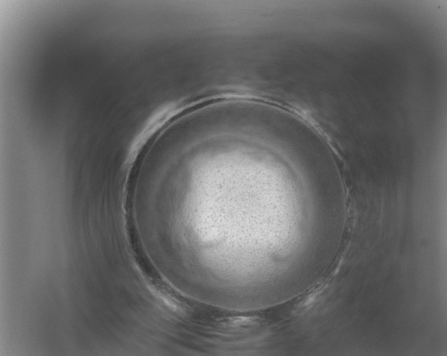 X0000058130151200509302002