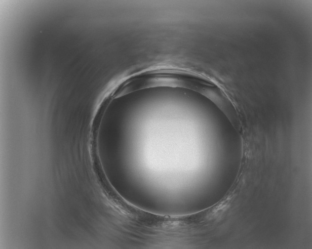 X0000058130152200509302002