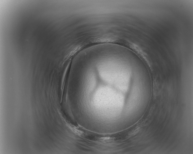 X0000058130153200509302002