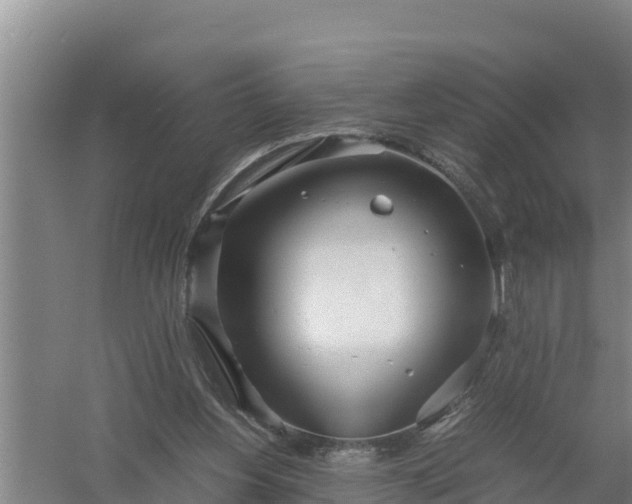 X0000058130156200509302002