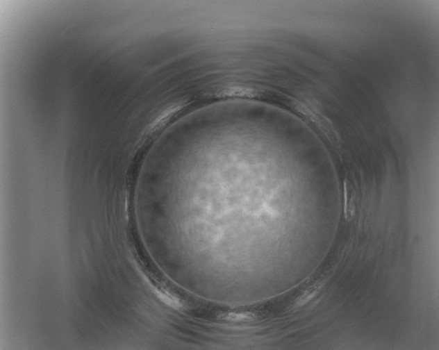 X0000058130157200509302002