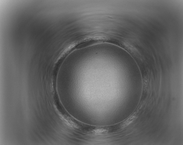 X0000058130158200509302002