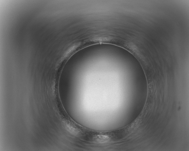 X0000058130159200509302002