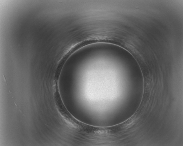 X0000058130160200509302002