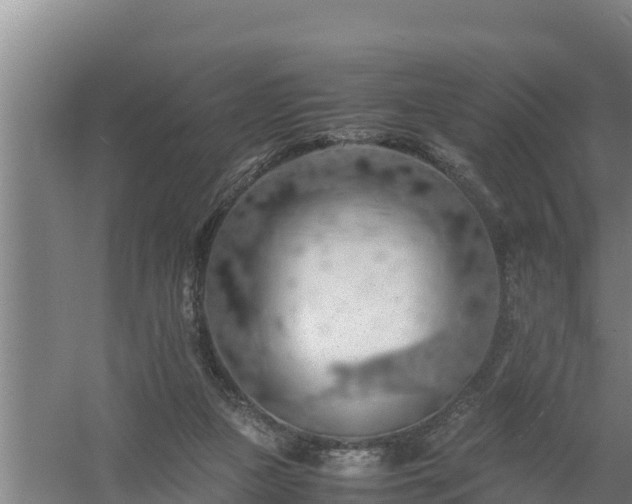 X0000058130161200509302002