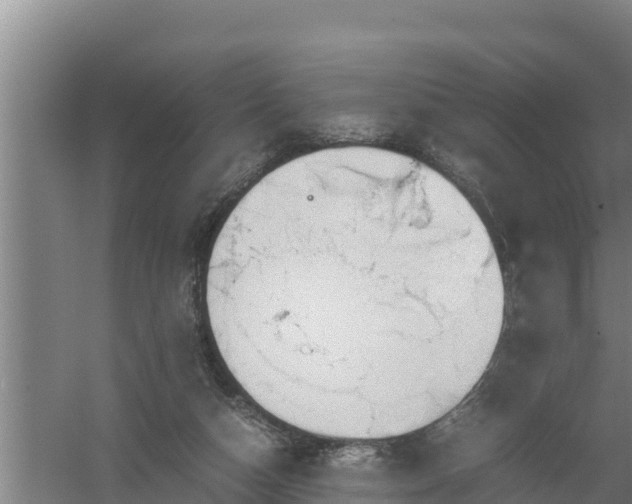 X0000058130162200509302002