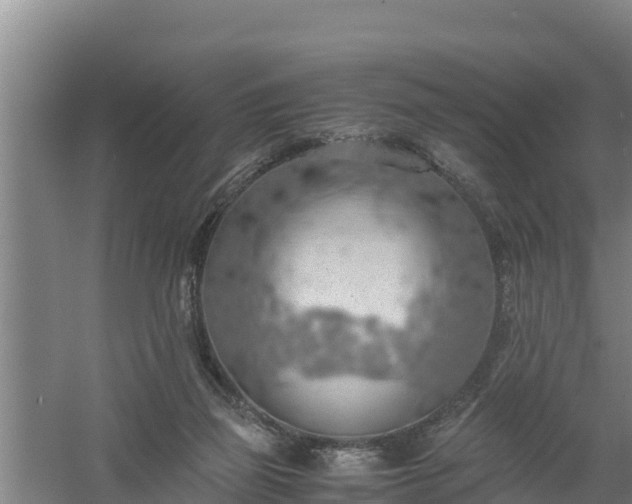 X0000058130165200509302002