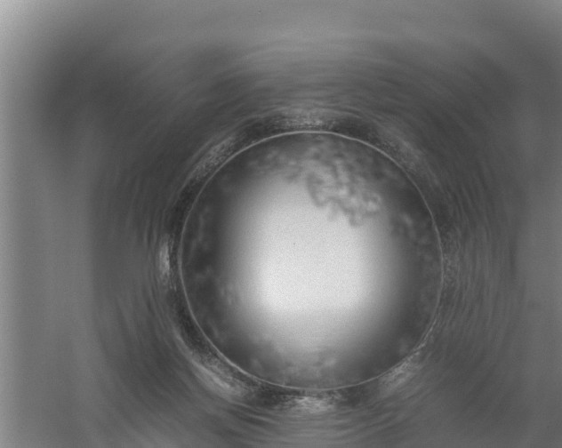 X0000058130166200509302002