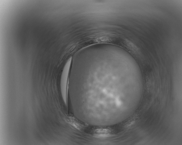 X0000058130169200509302002